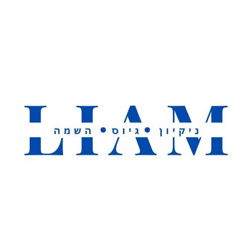 לי-אם חברת כוח אדם.logo